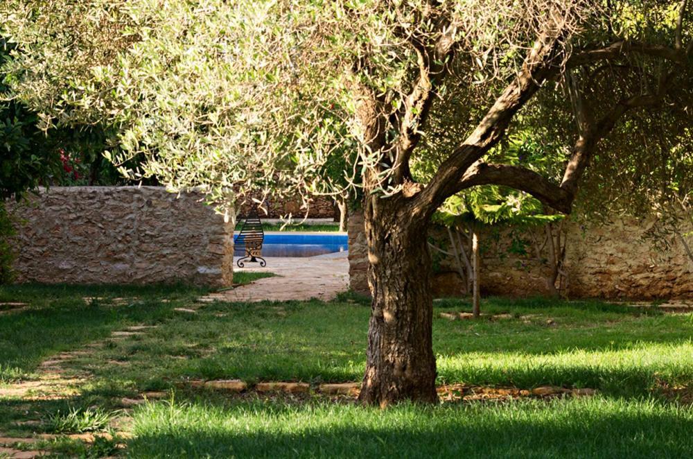 عنارة Ryad De Vignes " Le Val D'Argan " المظهر الخارجي الصورة
