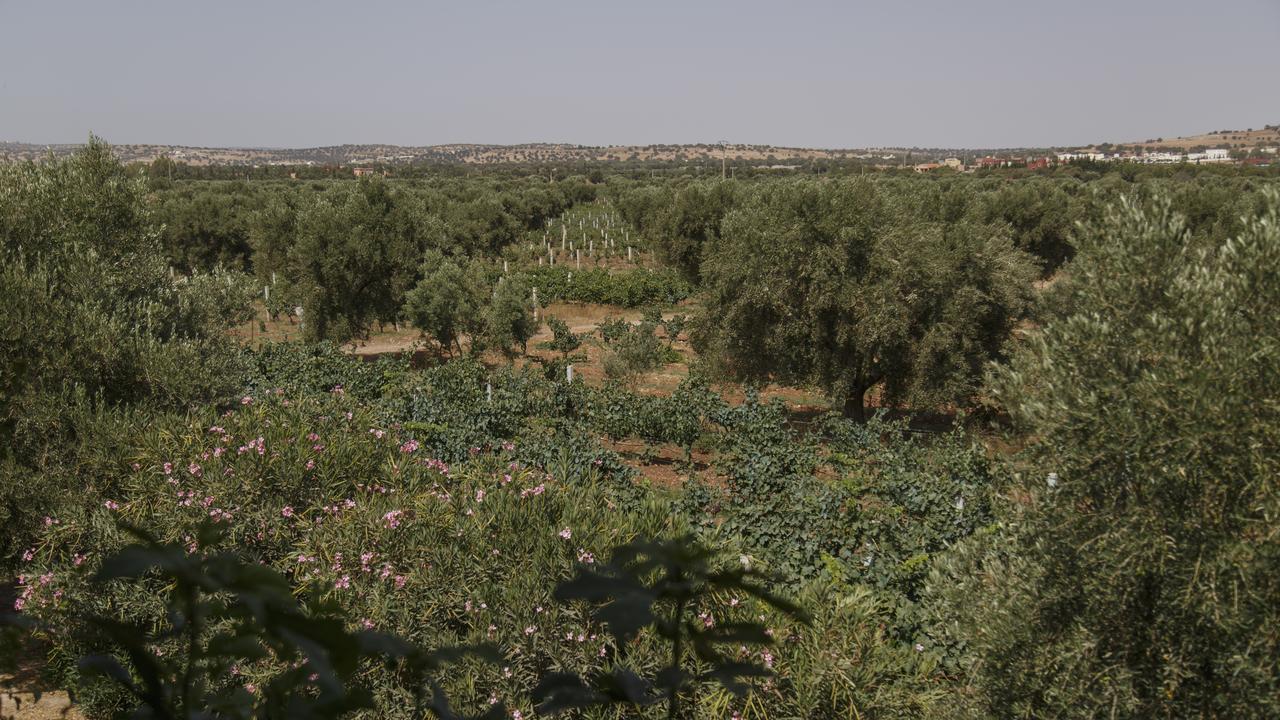 عنارة Ryad De Vignes " Le Val D'Argan " المظهر الخارجي الصورة